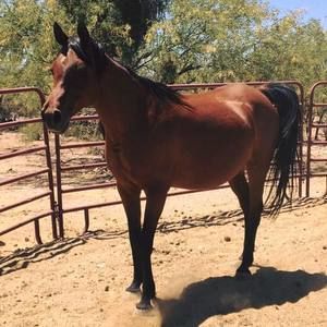 Meet your Posher, Karin